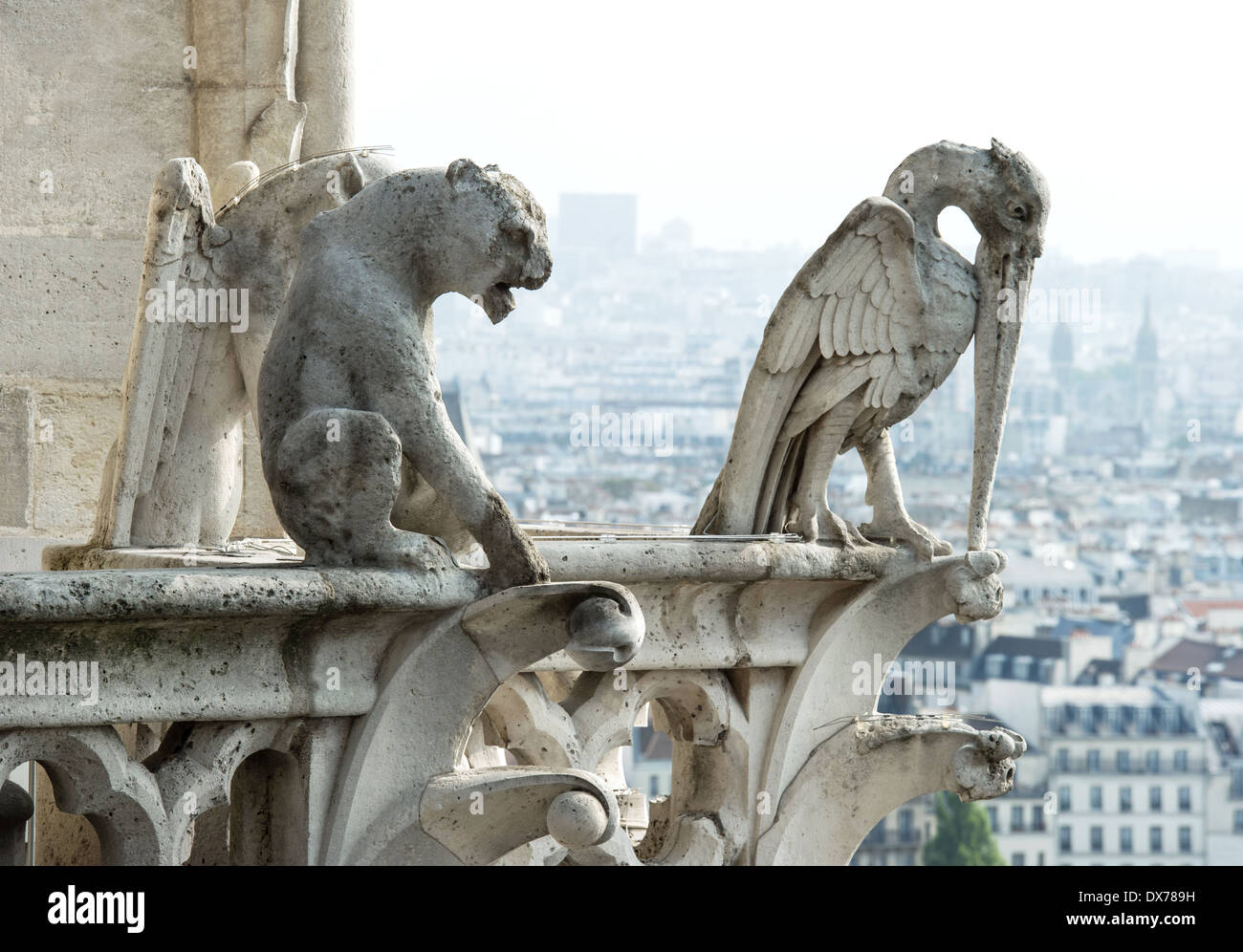 Les démons de pierre und gargouille chimère avec ville de Paris sur l'arrière-plan. Vue depuis la tour de la Cathédrale Notre Dame Banque D'Images