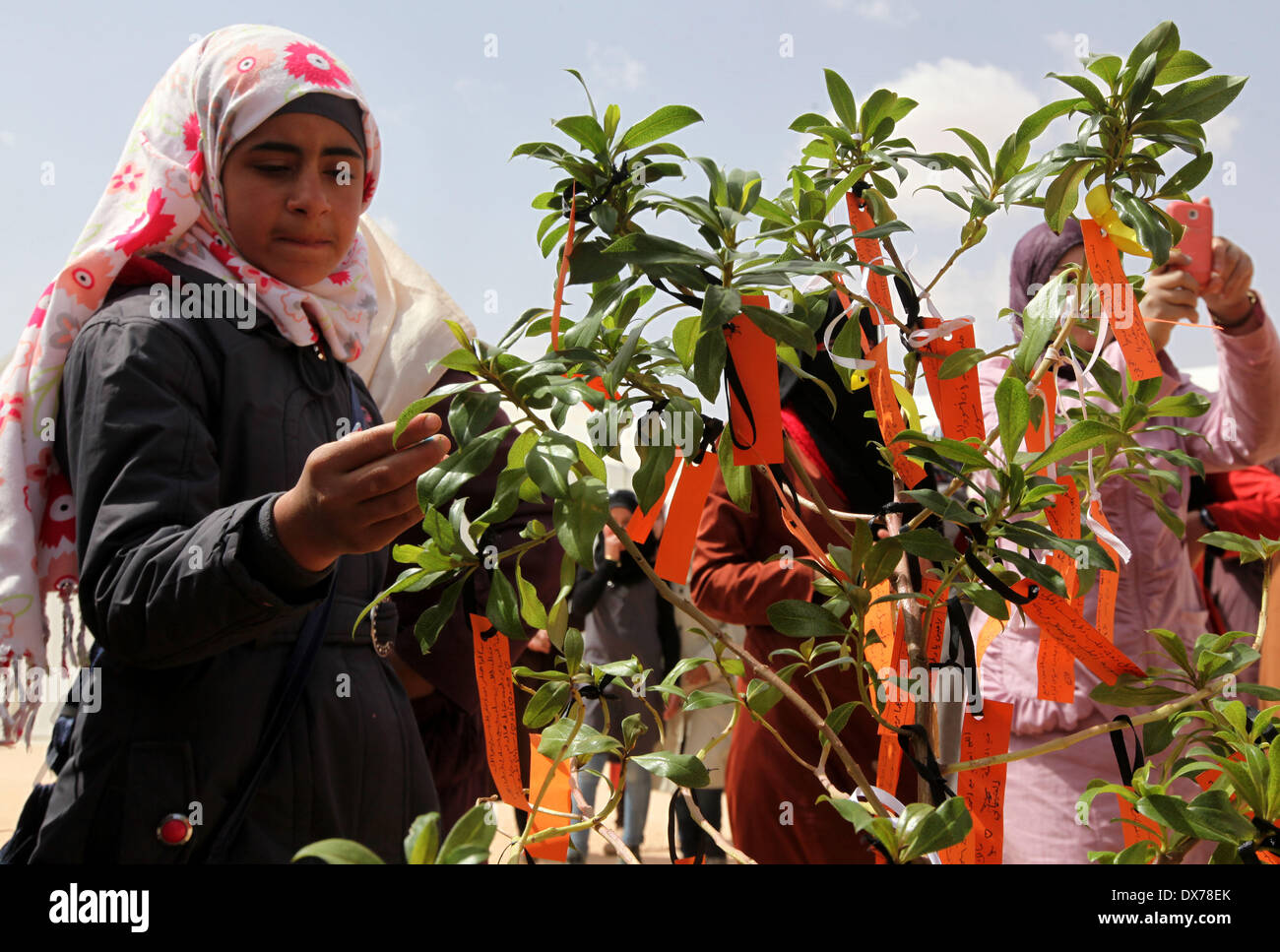 Amman, Jordanie. Mar 19, 2014. Les étudiants réfugiés syriens d'accrocher leurs souhaits sur un arbre lors du Conseil norvégien des réfugiés (NRC) à l'intérieur du camp de réfugiés syriens Zatari près de la ville de Mafraq, Jordanie, le 19 mars 2014. Le Conseil norvégien pour les réfugiés (NRC) a tenu une série d'activités pour les enfants et les jeunes dans son centre d'éducation dans le camp de réfugiés de Zaatari, qui comprenait la plantation et peinture à la main de rappeler au monde qu'ils étaient 'ici'. © Mohammad Abu Ghosh/Xinhua/Alamy Live News Banque D'Images