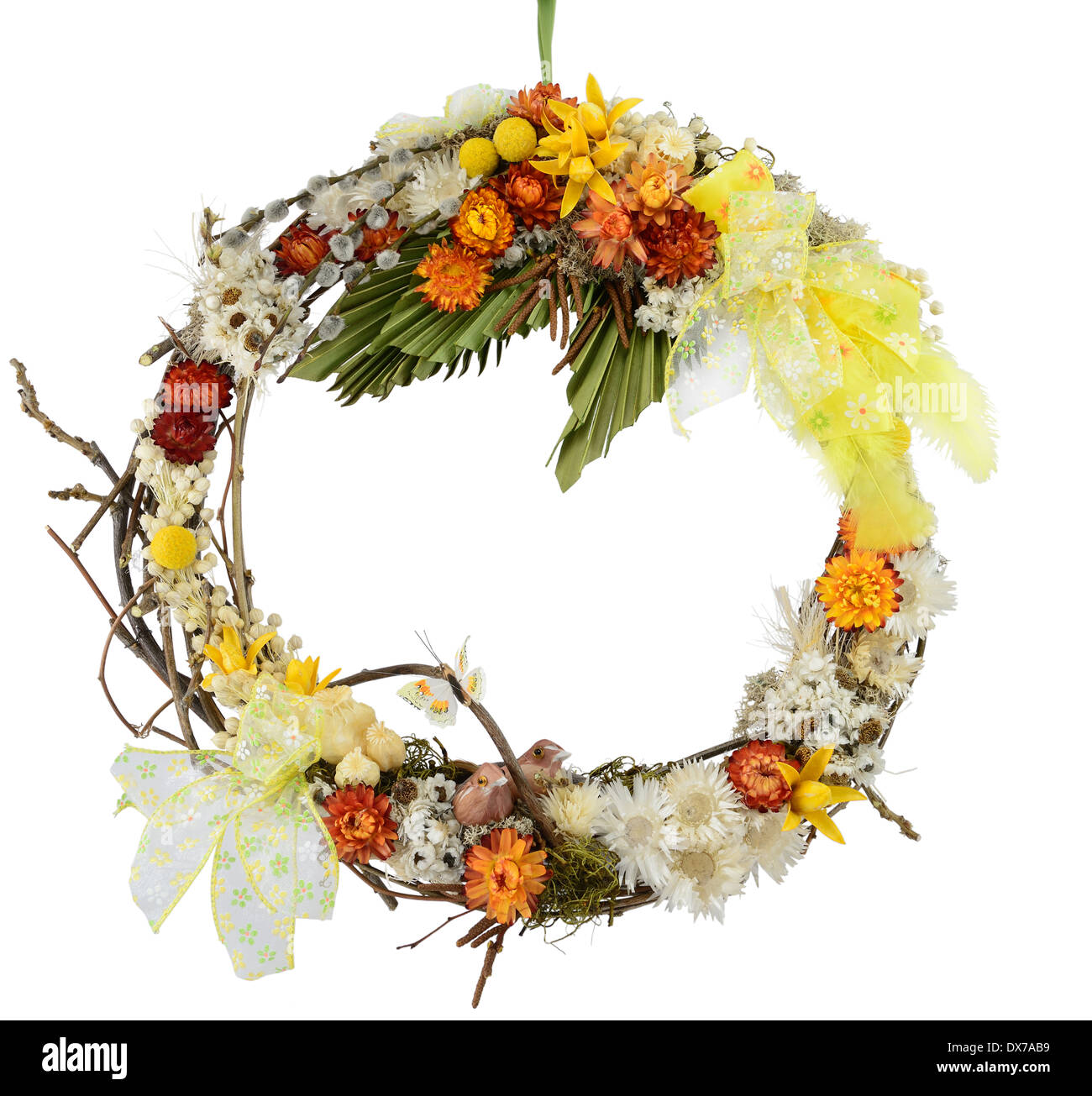 Couronne de printemps avec des fleurs, d'oiseaux et de papillons isolé sur blanc. Banque D'Images