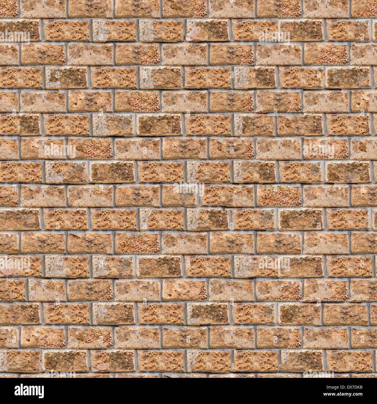 Coquina mur. Seamless Texture Mosaïque. Banque D'Images