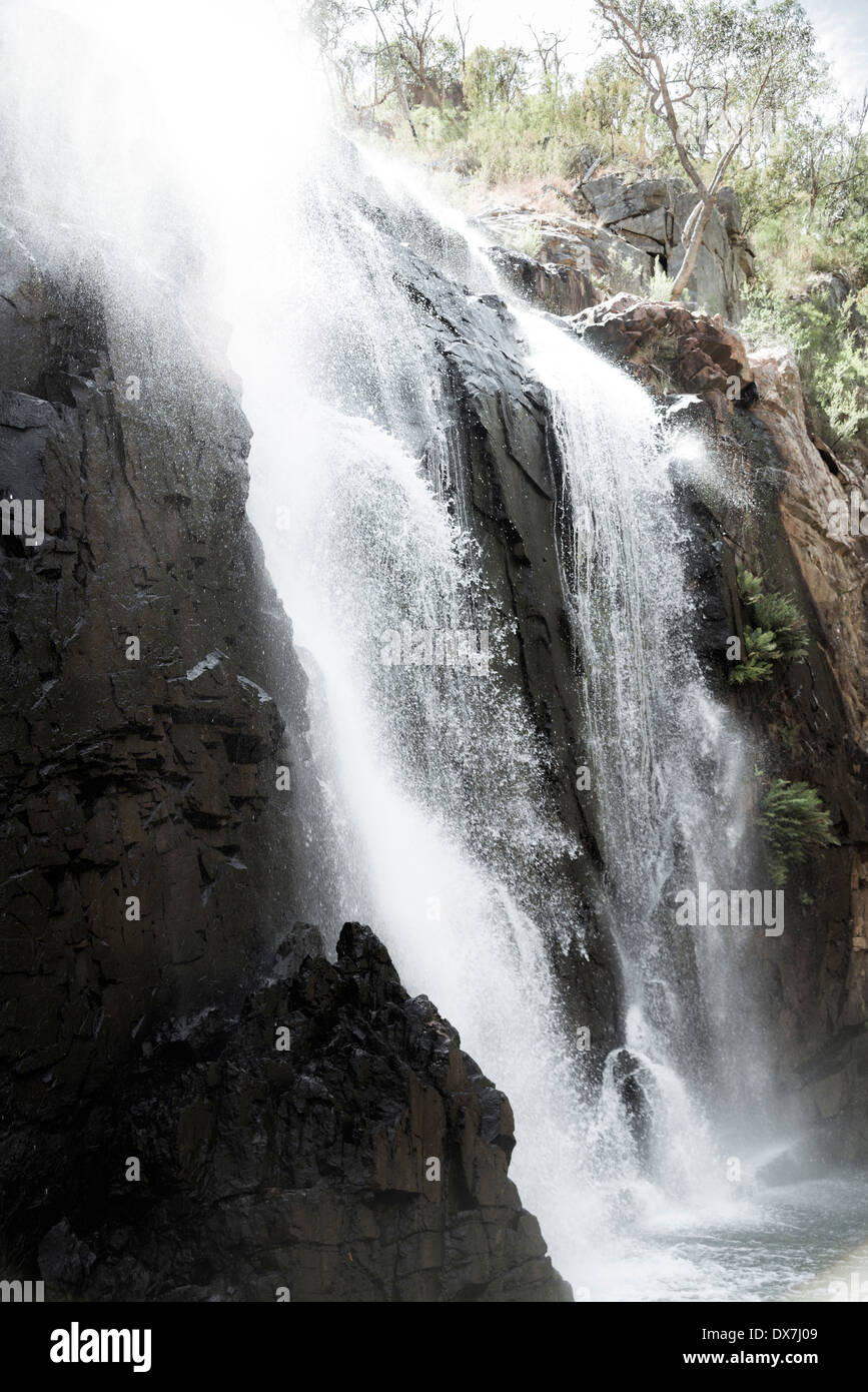 Sur les rochers, cascade, MacKenzie Falls, le Parc National des Grampians Banque D'Images