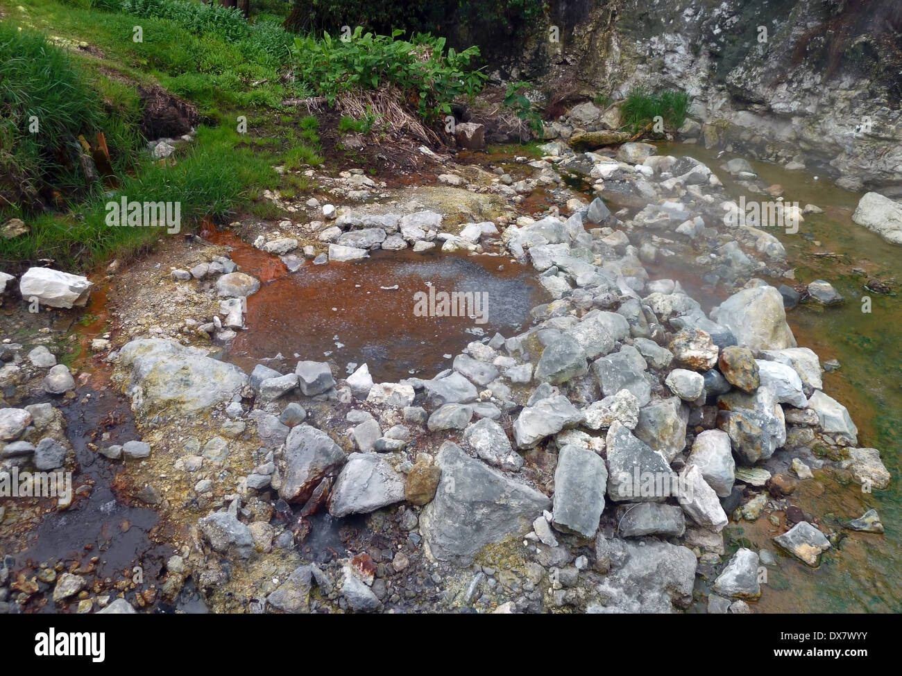 Minéral au printemps à des Açores au Portugal Banque D'Images