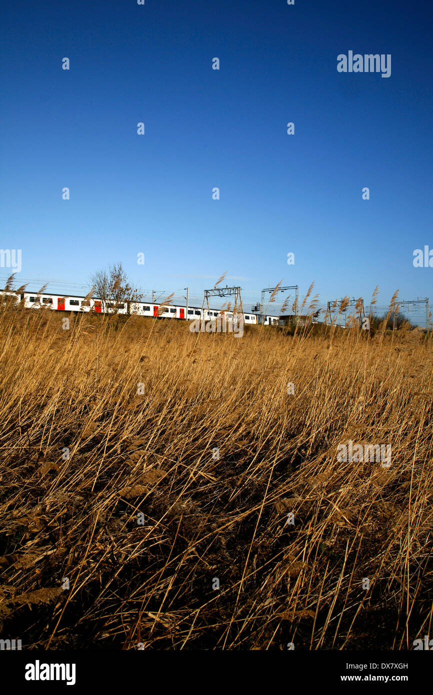 Passage de trains de banlieue Les marais de Walthamstow, London, UK Banque D'Images