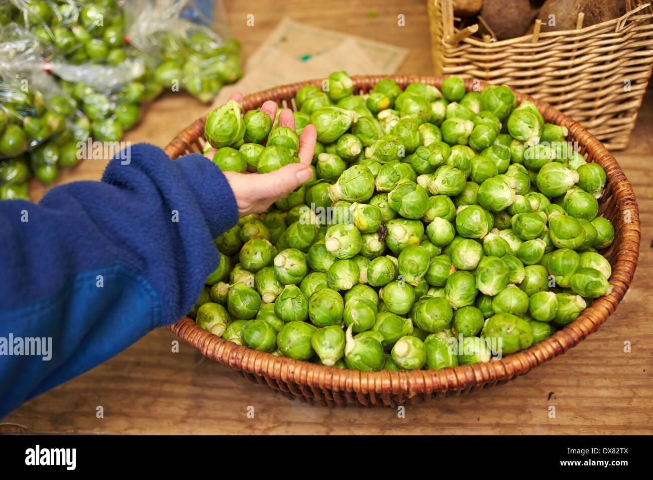 Les graines germées dans un bol à un marché près de Thame, Oxfordshire Banque D'Images