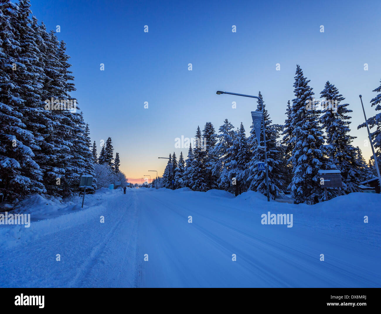 Arbres couverts de neige à des températures extrêmement froides, Laponie, Suède Banque D'Images