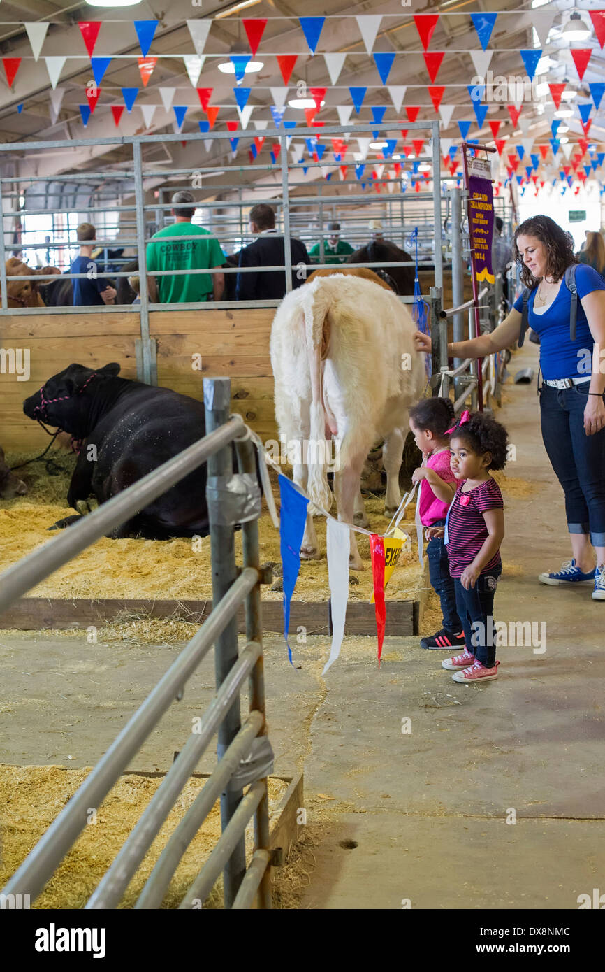 Tampa, Floride - Les enfants dans les granges de bétail à la foire de l'État de Floride. Banque D'Images