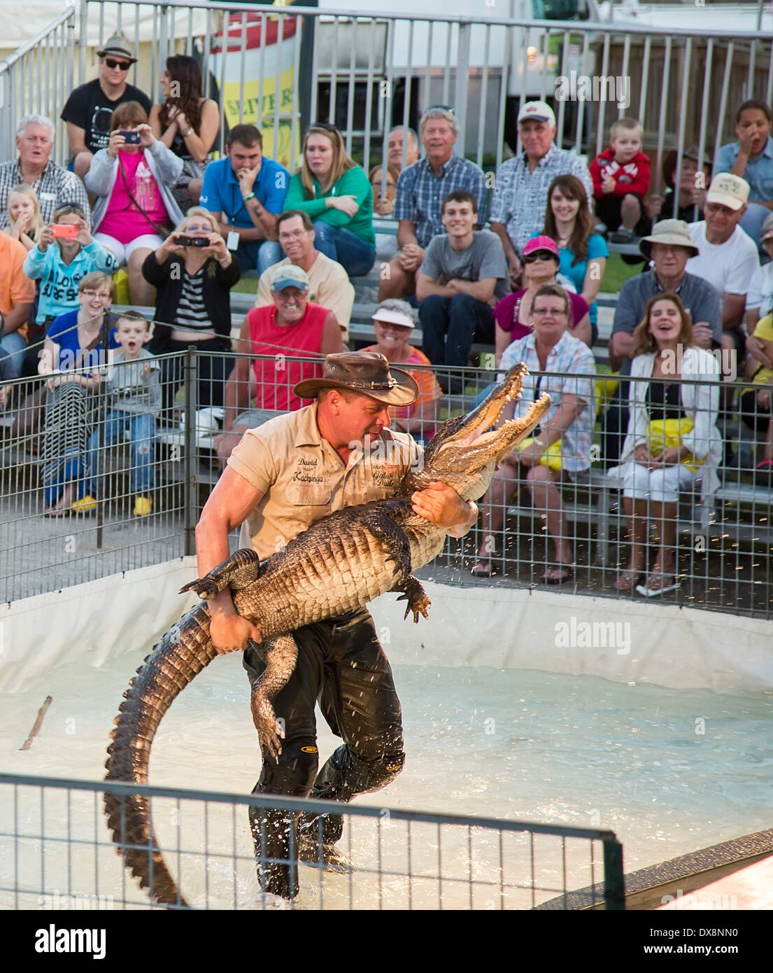 Tampa, Floride - l'Alligator Kachunga Spectacle au Florida State Fair. Banque D'Images