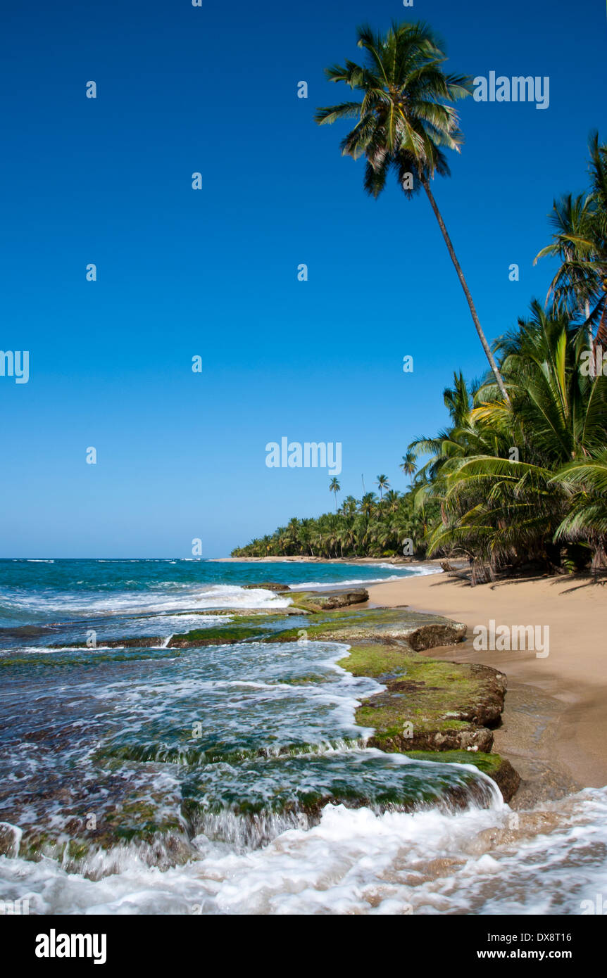 La Plage De Punta Uva Entre Puerto Viejo Et Manzanillo La