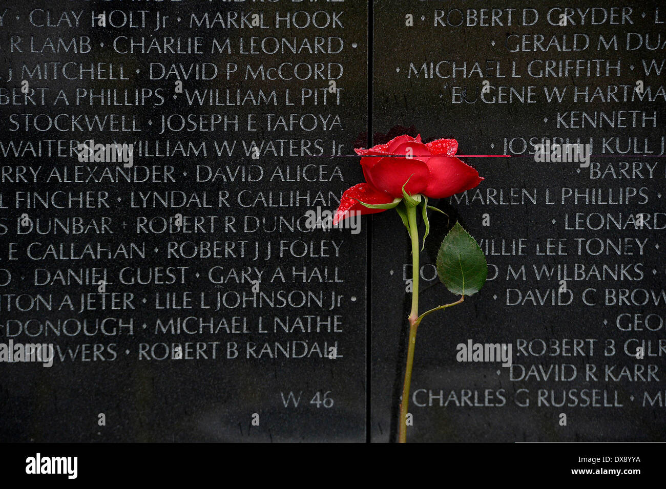 Washington DC, USA . Mar 19, 2014. Récipiendaire de la médaille d'honneur de maître de l'Armée de Sgt. Jose Rodela laisse derrière lui une rose rouge à la Vietnam Veterans Memorial, le 19 mars 2014 à Washington, D.C. Crédit : Planetpix/Alamy Live News Banque D'Images