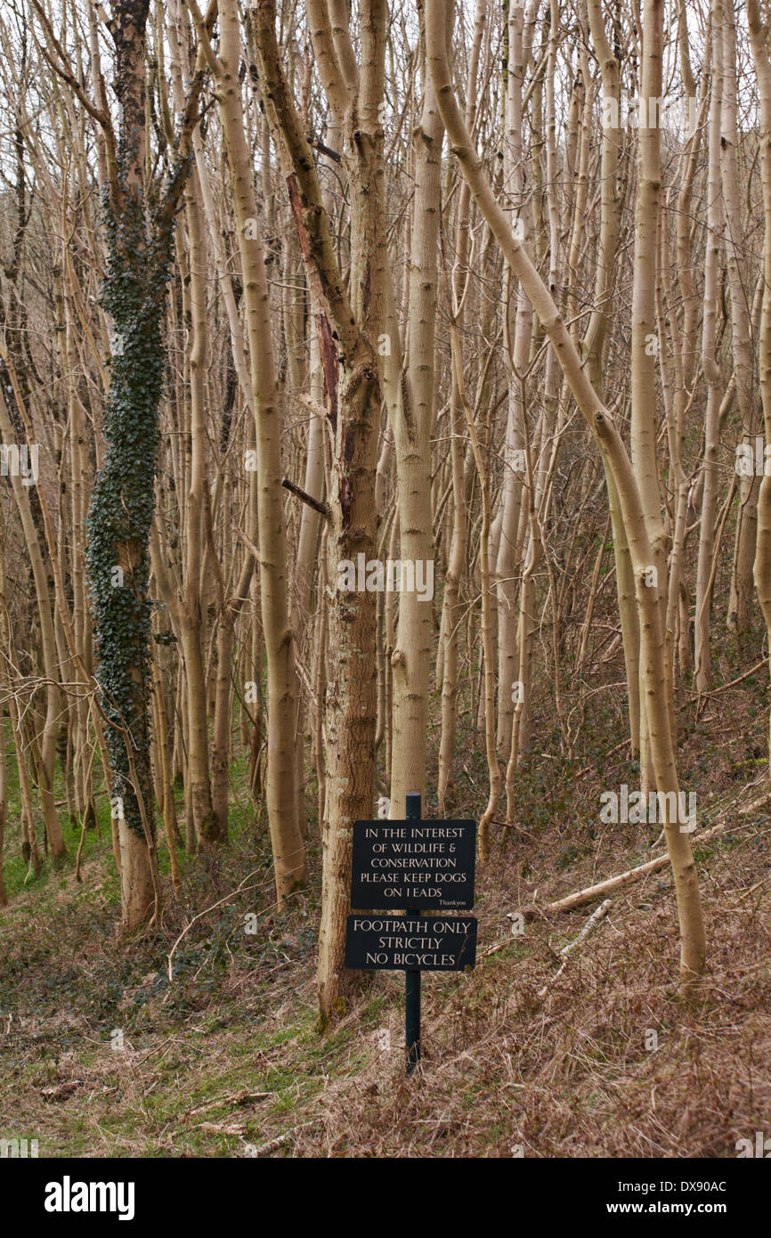 Dans l'intérêt de la conservation de la faune et de l'veuillez maintenir les chiens sur des pistes merci sentier seulement strictement aucun signe des vélos sur les arbres Banque D'Images