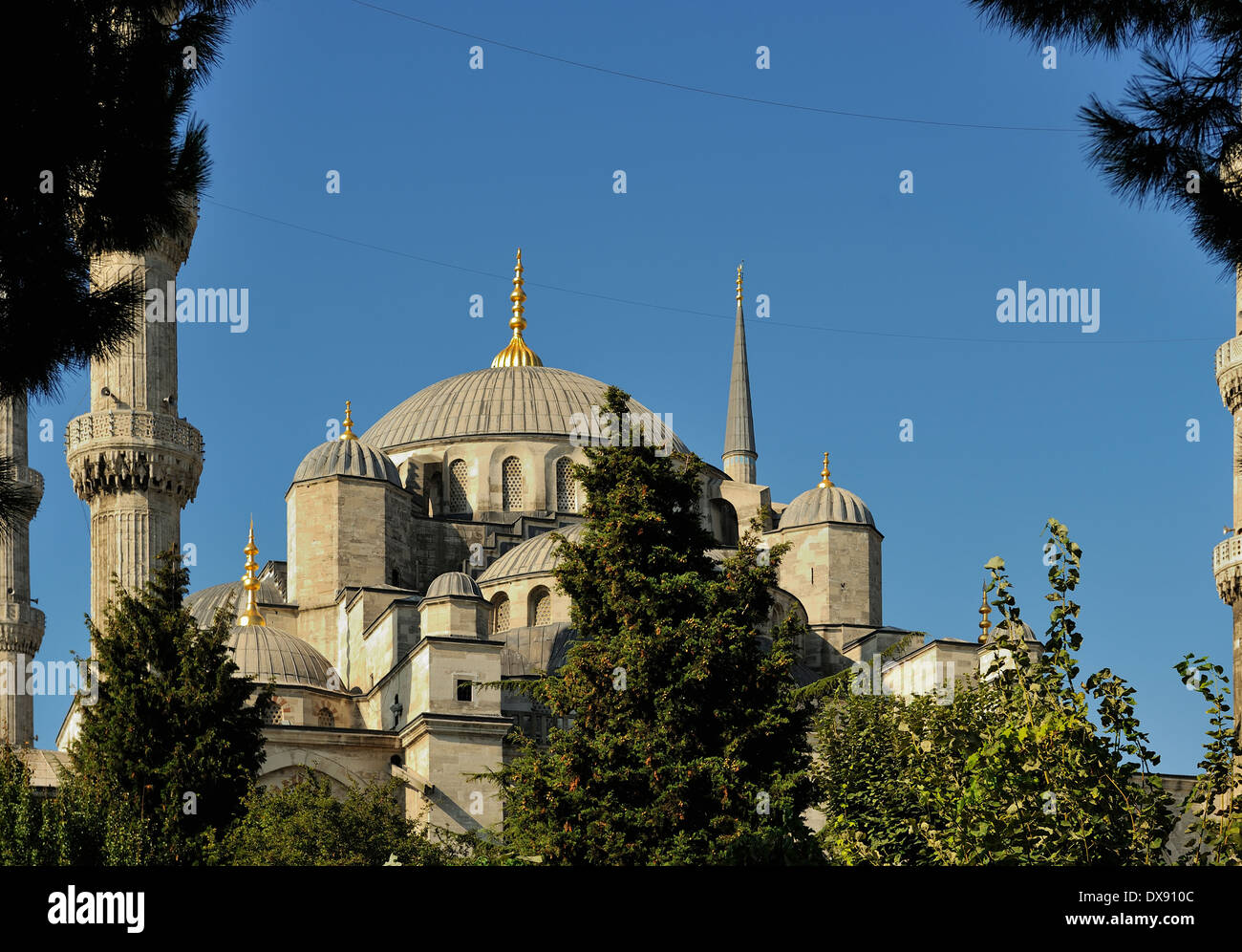 Sultan Ahmet Camii (Mosquée Bleue), Istanbul, Turquie 130912 31041  Banque D'Images