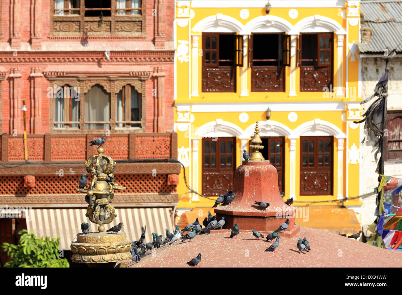 -Bâtiments coloriste encombrée de colombes et les drapeaux de prières bouddhistes- entourent le grand stupa de Boudhanath. Kathmandu-Nepal. Banque D'Images