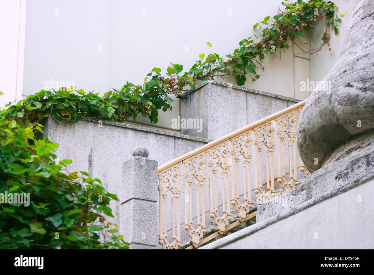 Escalier de pierre d'une mosquée et de raisins autour d'elle à Istanbul, Turquie Banque D'Images