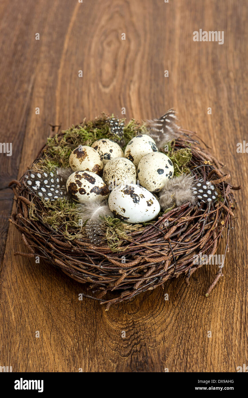 Cailles oeufs d'oiseaux dans leur nid sur fond de bois rustique décoration de Pâques. Banque D'Images