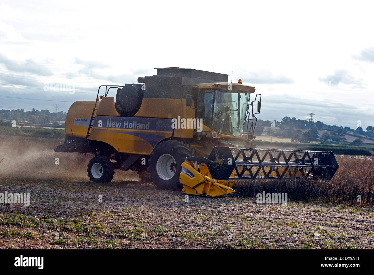 Moissonneuse batteuse en action Banque D'Images