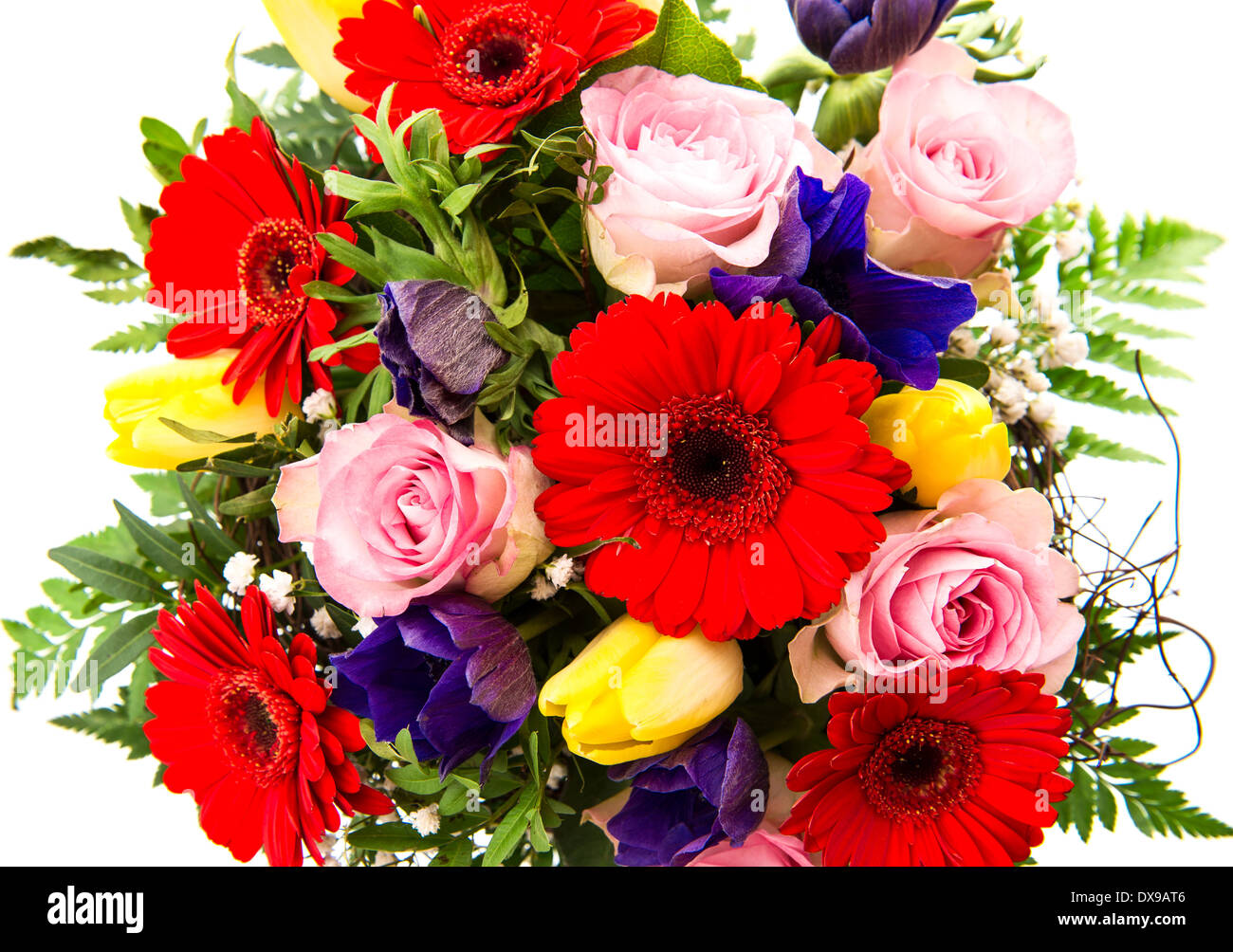 Gros plan du printemps coloré fleurs bouquet roses roses., rouge gerbera, tulipes jaunes, bleu anemone Banque D'Images