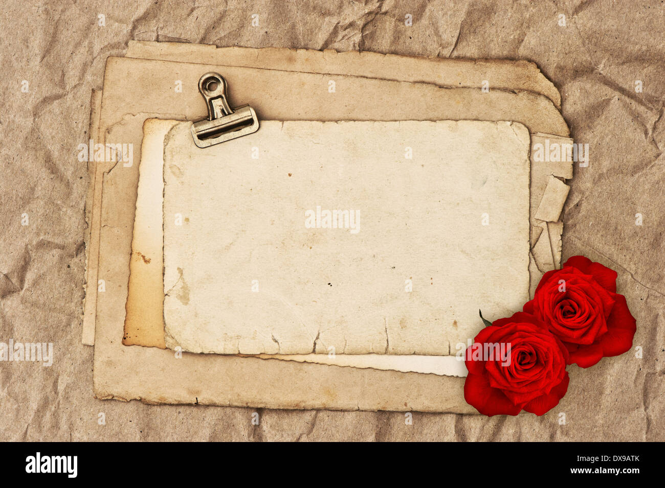 Vieux papier vierge et deux fleurs rose vintage grunge. Banque D'Images