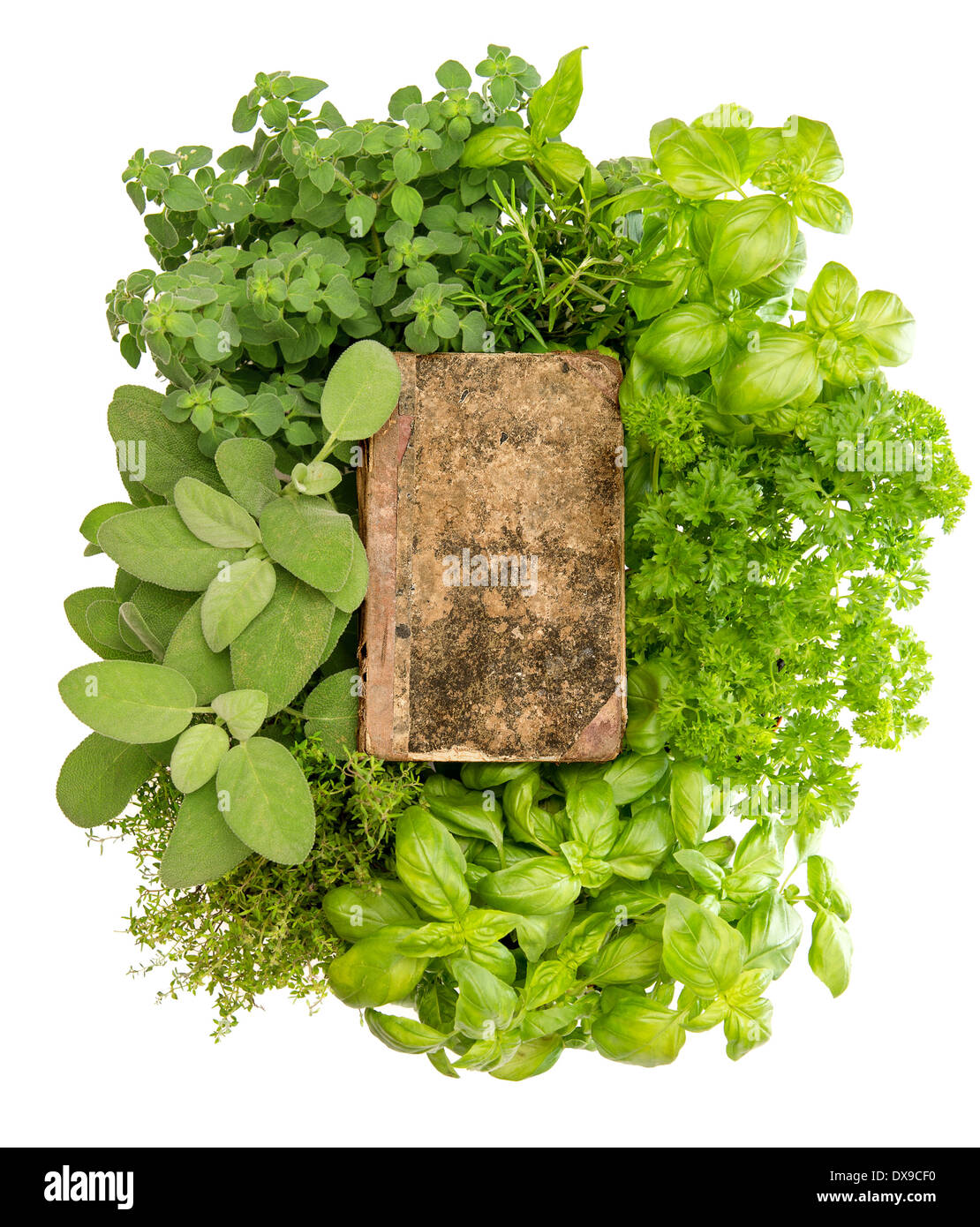 Vintage livre avec la variété des herbes fraîches sur fond blanc Banque D'Images