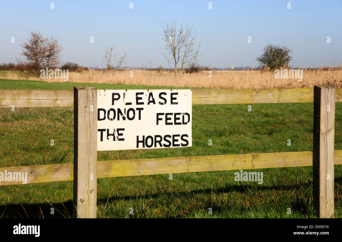 Demande de ne pas nourrir les chevaux Banque de photographies et d’images à haute résolution Alamy