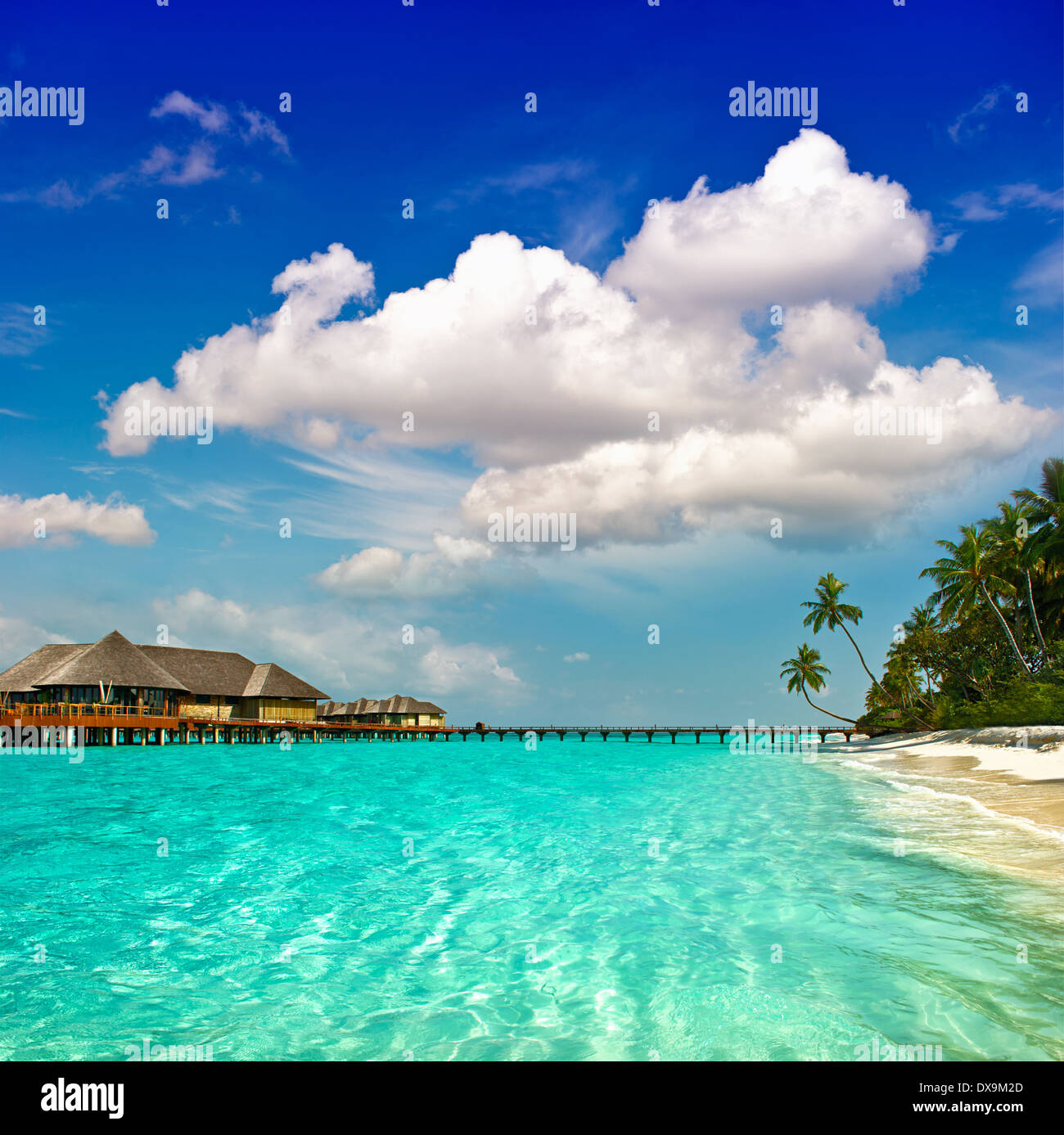 Paradise Island paysage. palm beach. crystal turquoise et ciel bleu fantastique Banque D'Images