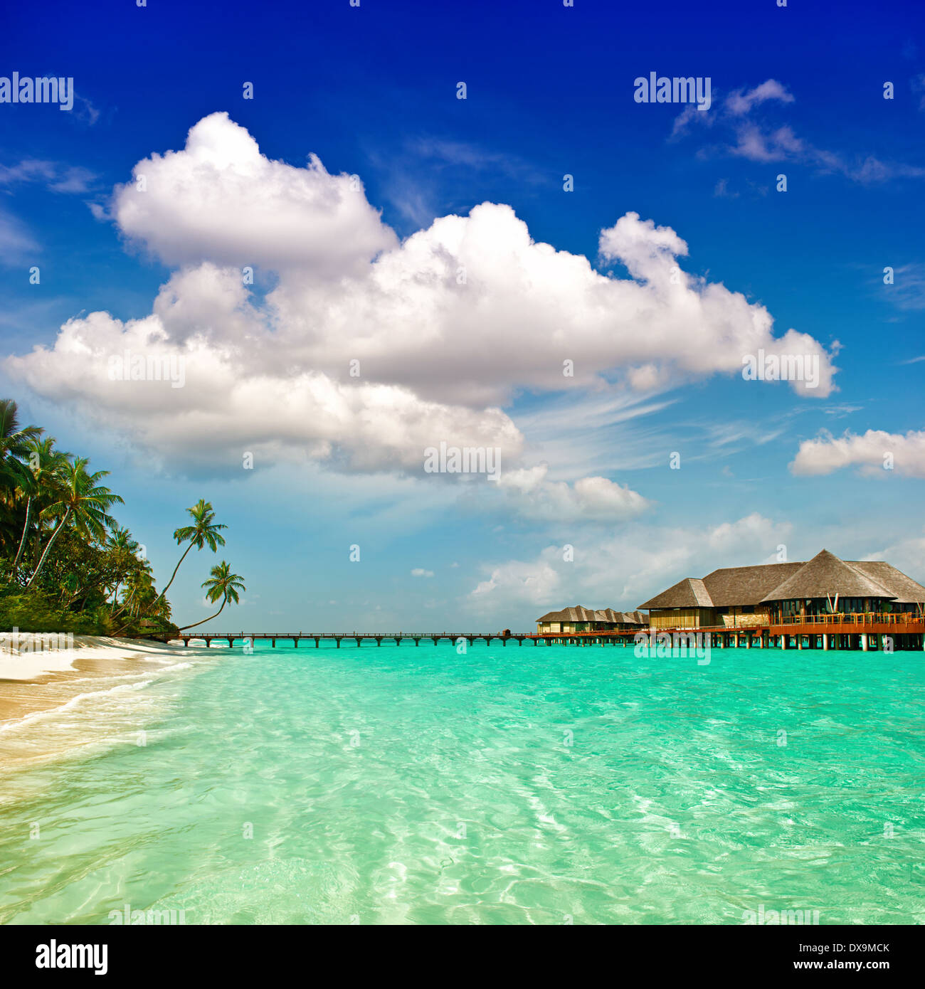 Palm Beach. île tropicale paysage. l'eau turquoise et ciel nuageux ciel bleu Banque D'Images