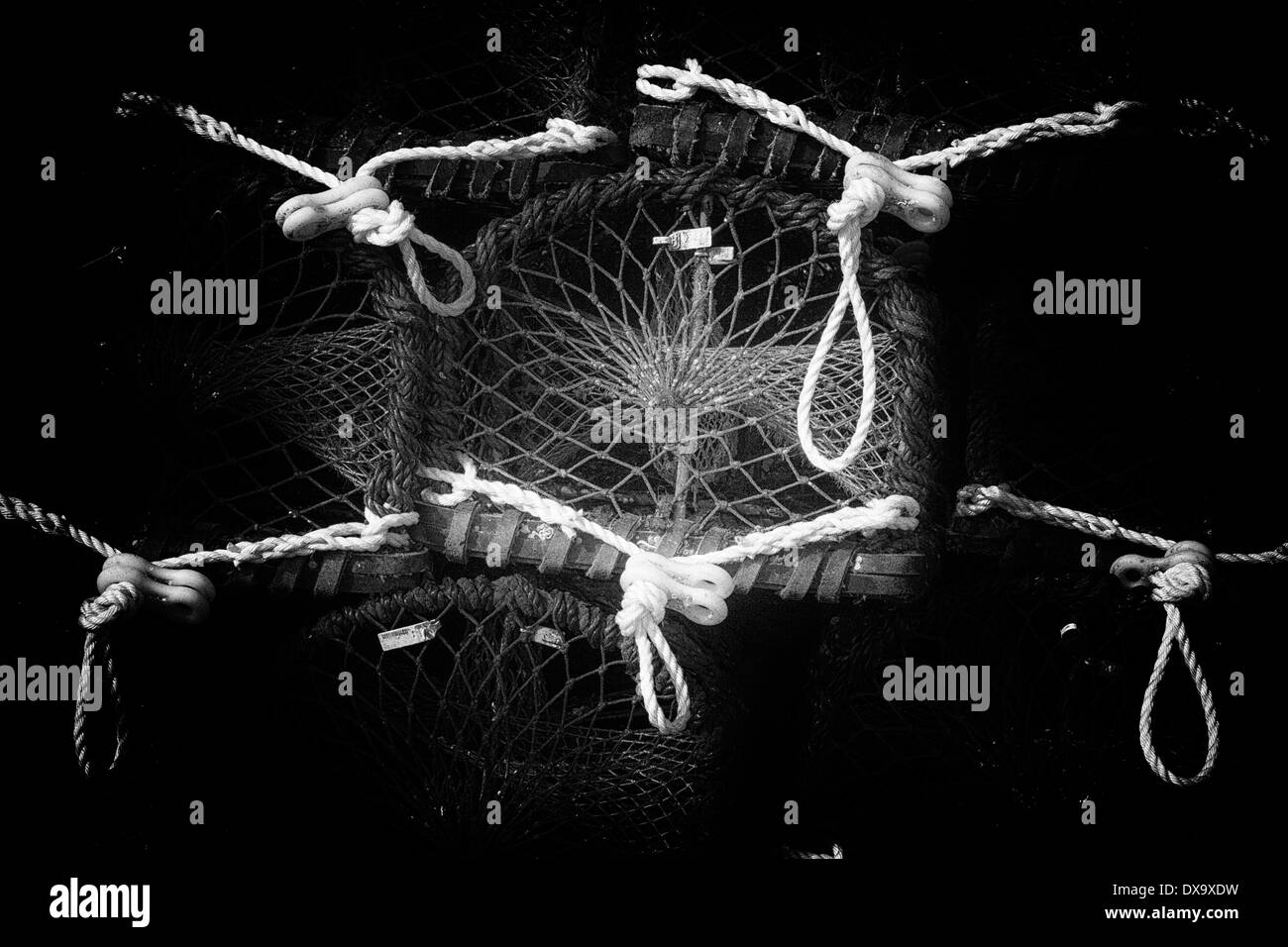 Lobster Pot mono Banque D'Images
