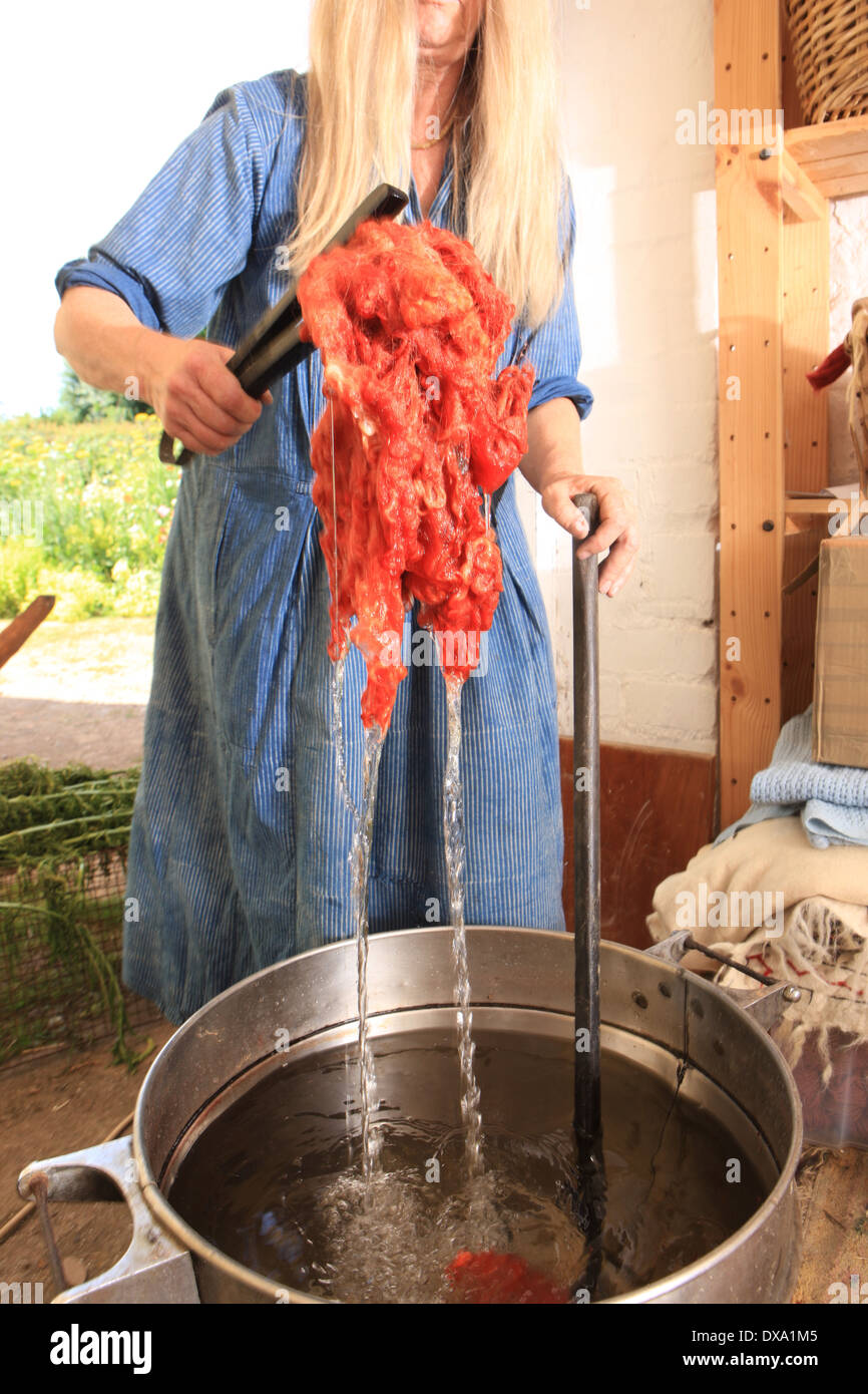 Jane Meredith qui utilise des plantes et fleurs de colorant pour la laine dans son atelier.Elle organise des cours sur l'artisanat de pays et de compétences. Banque D'Images