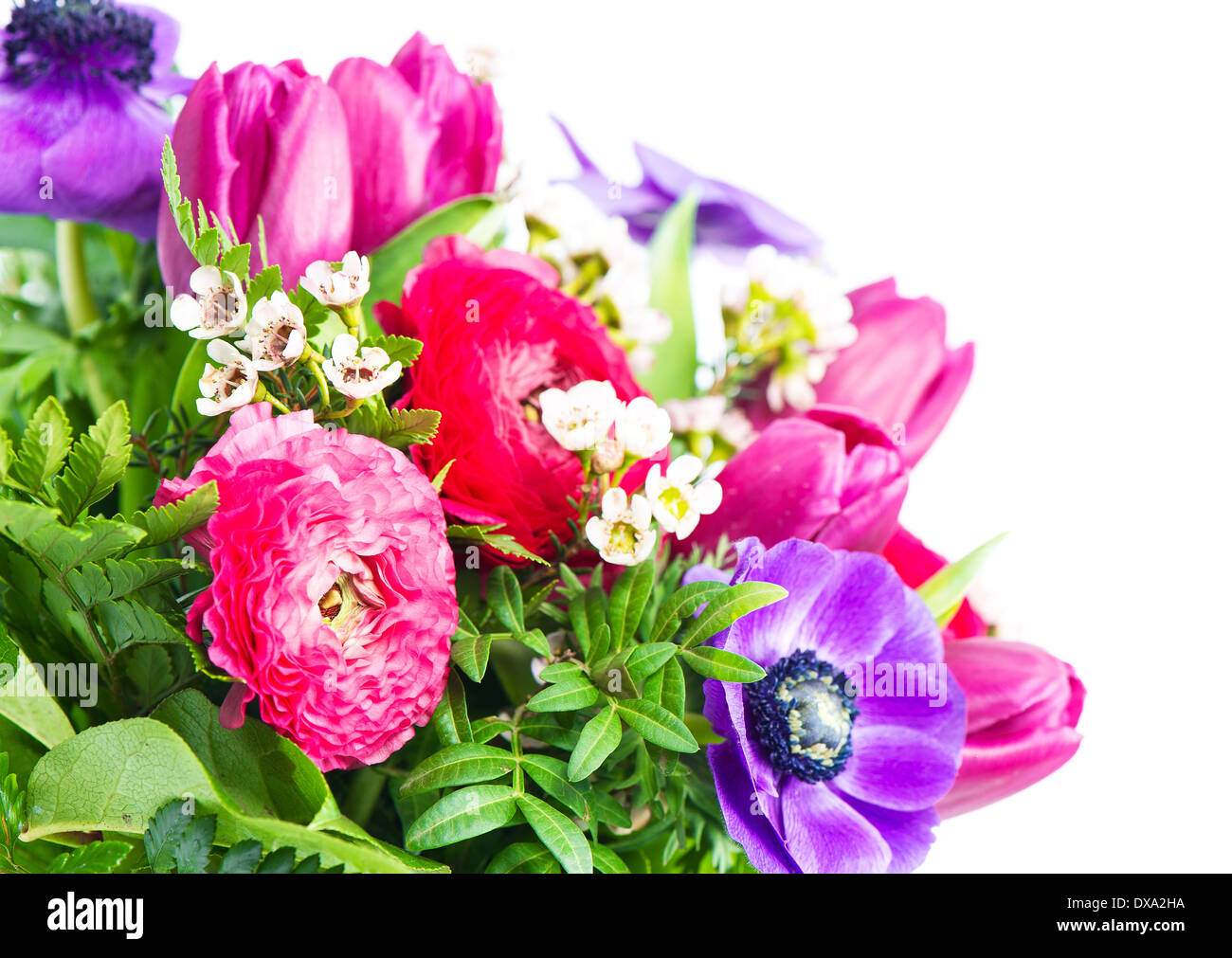 Concept de la Fête des mères. Carte avec des fleurs colorées. Banque D'Images