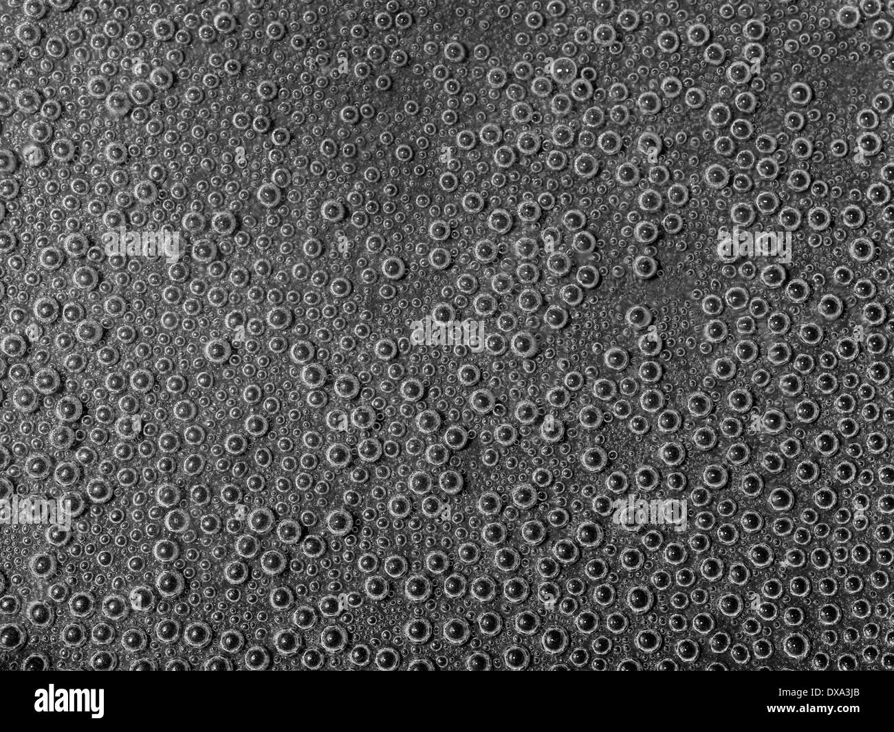 Résumé fond plein cadre sous-marine avec plein de petites bulles d'air sur le sol gris Banque D'Images