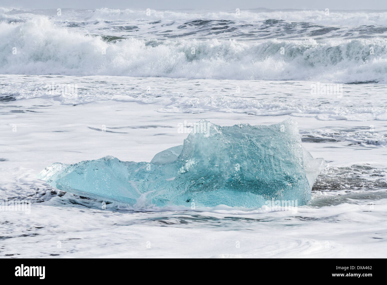 Un gros morceau de glace bleue dans le surf sur la plage de sable noir à Jokulsarlon dans le sud de l'Islande. Banque D'Images