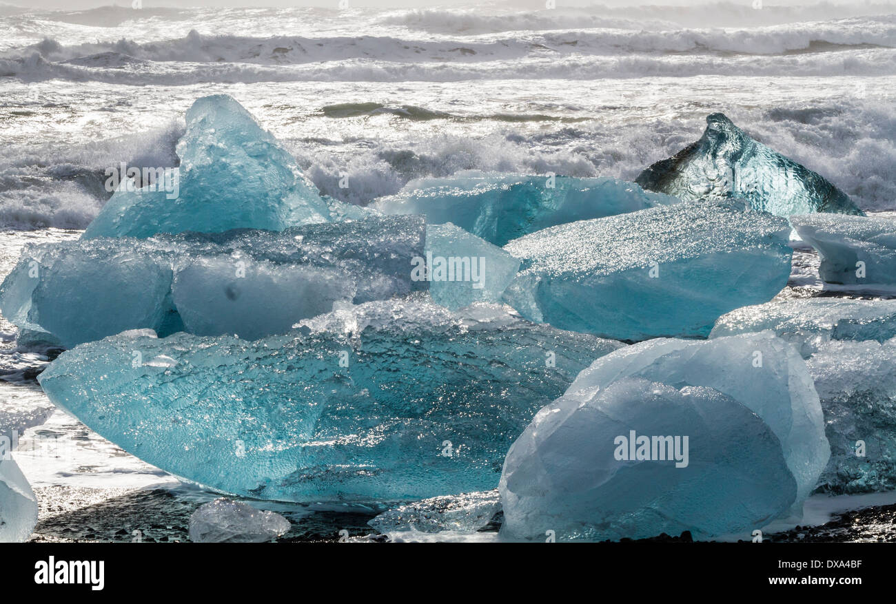 Une remarquable au milieu des icebergs Translucide bleu gros icebergs dans le surf s'écraser sur le sable noir à Jokulsarlon, Islande Banque D'Images