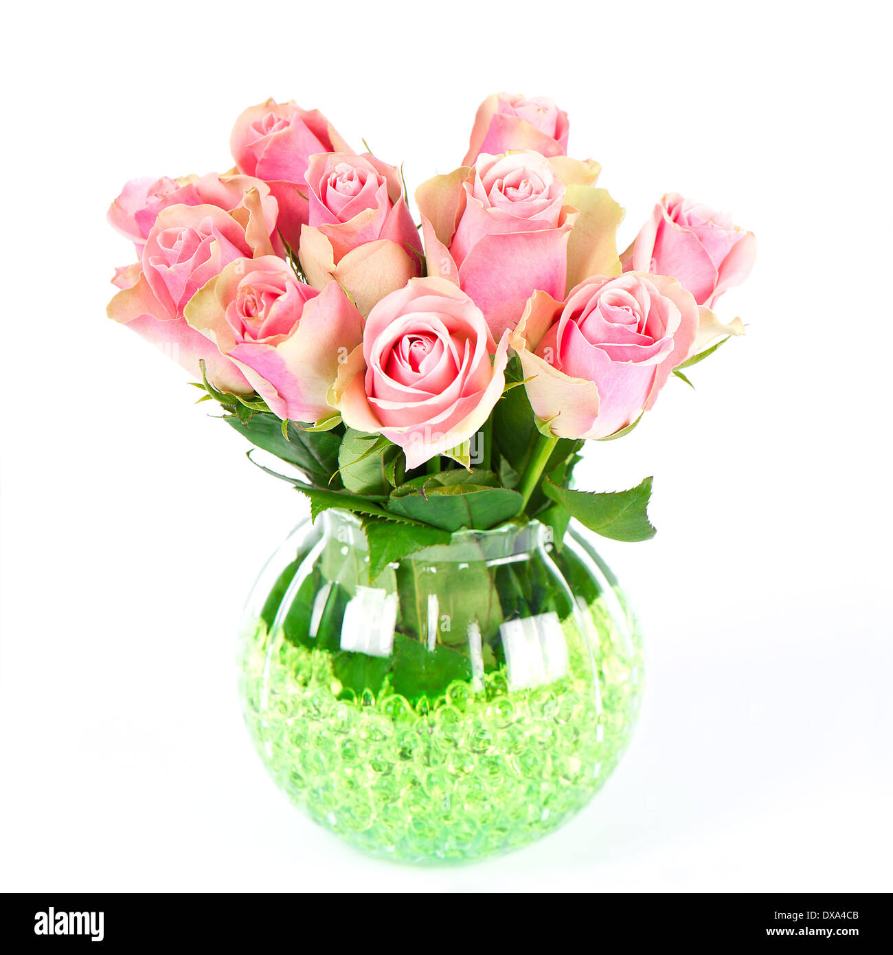 Beau bouquet roses roses sur fond blanc Banque D'Images