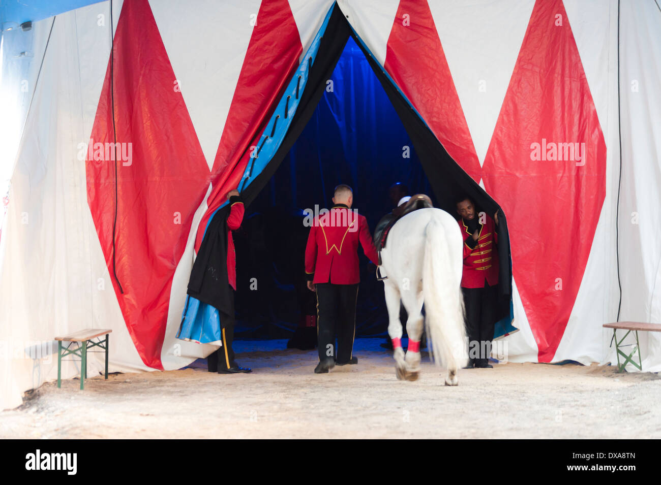 Artistes et formateurs des animaux se préparent pour leur performane derrière la scène de la 'Cirque National Suisse Knie". Banque D'Images