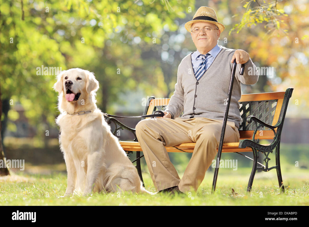 Hauts homme assis sur un banc en bois avec son labrador retriever dog relaxing in a park Banque D'Images