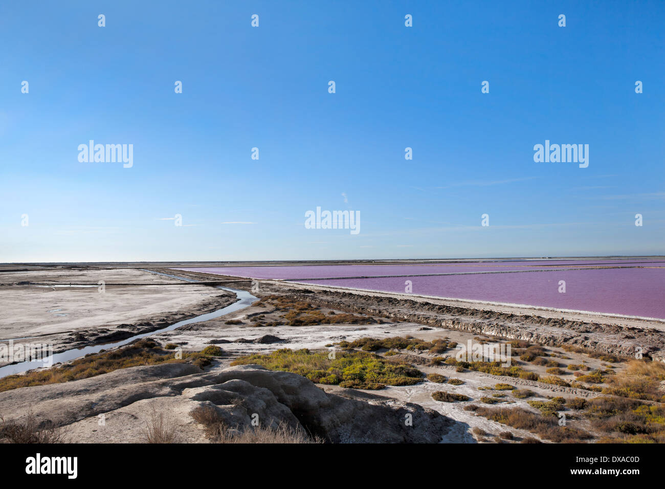 La production de sel dans la Camargue. photo de paysage de lacs de sel rose Banque D'Images