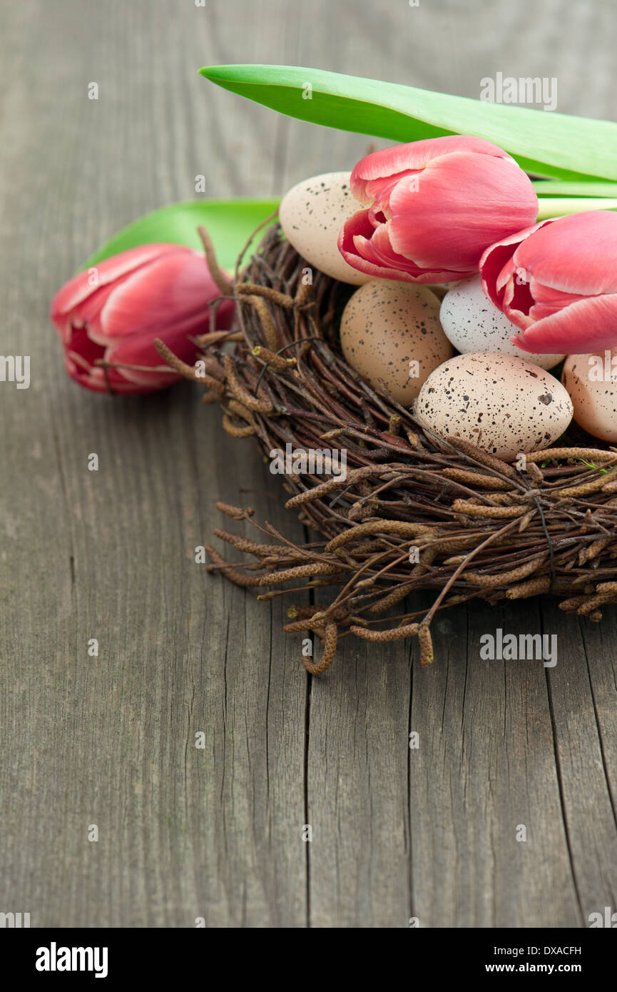 Tulipe rose fleurs avec des œufs d'oiseaux dans le nid Banque D'Images