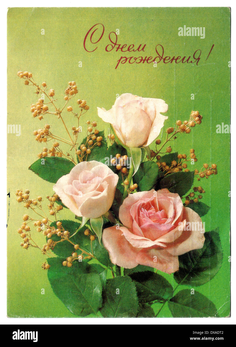 Urss Circa 1992 Carte Postale Montre Attirer Par Artiste Dergileva 3 Roses Rose Vers 1992 Texte Russe Joyeux Anniversaire Photo Stock Alamy Urss Circa 1992 Carte Postale Montre Attirer Par Artiste Dergileva 3 Roses Rose Vers 1992 Texte Russe Joyeux Anniversaire Photo Stock Alamy