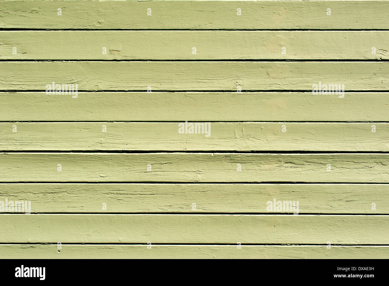 Abstract green texture en bois des portes de garage Banque D'Images