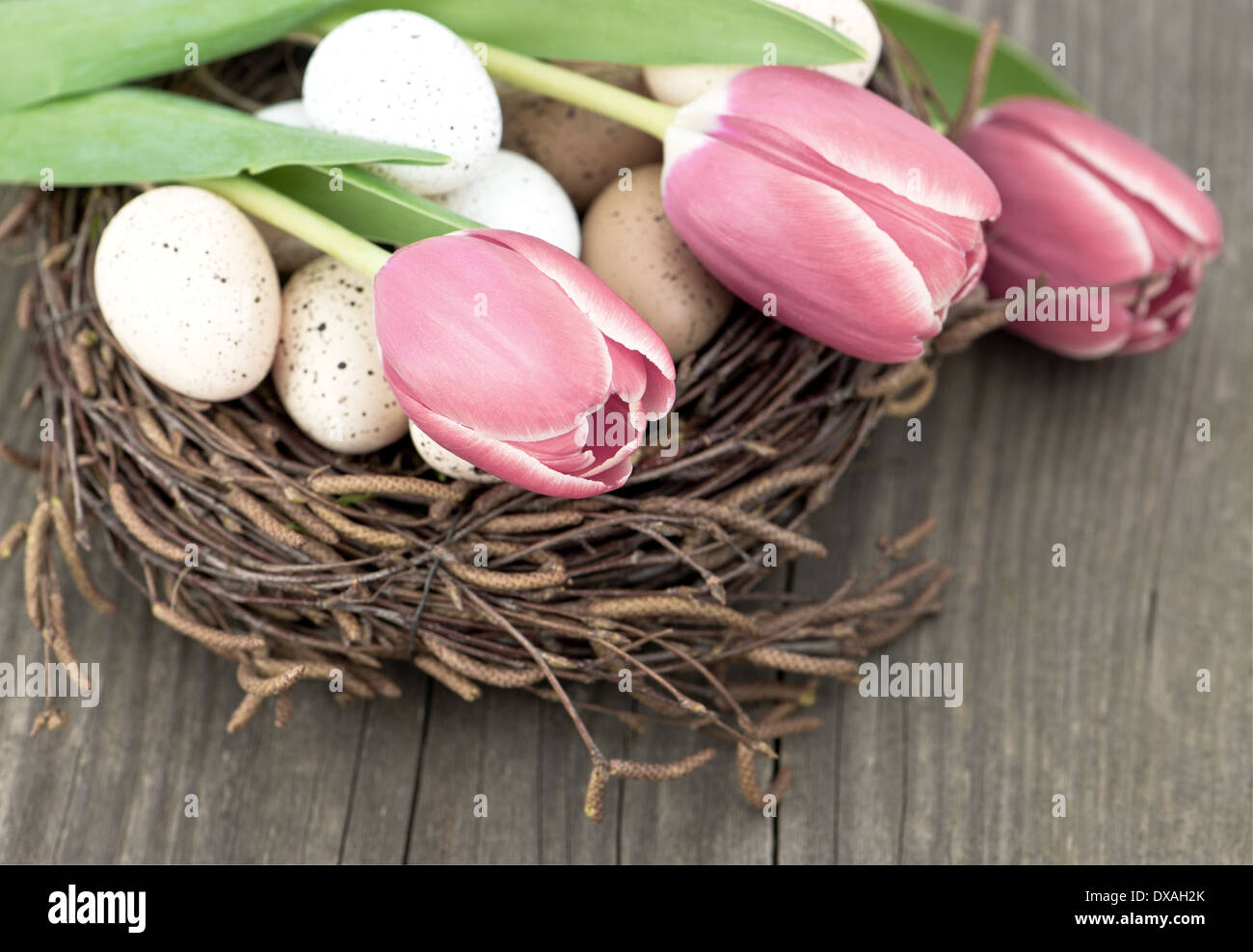 Les œufs des oiseaux dans le nid avec des fleurs de tulipe sur fond de bois vintage Banque D'Images