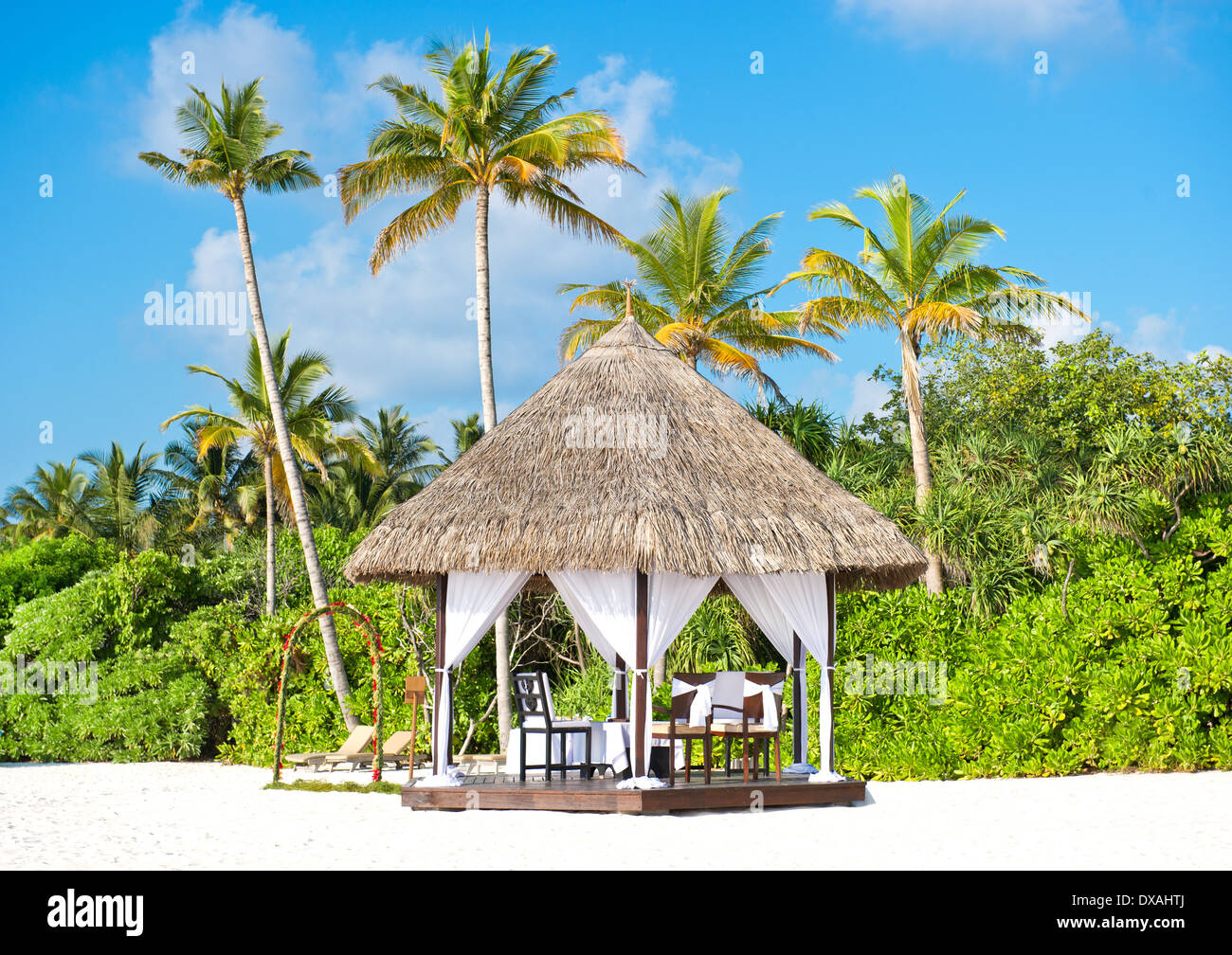 Cérémonie de mariage tropical emplacement. beau ciel bleu et de palmiers Banque D'Images