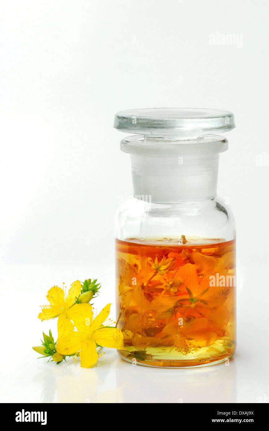 Perforer le Millepertuis Teinture Banque D'Images