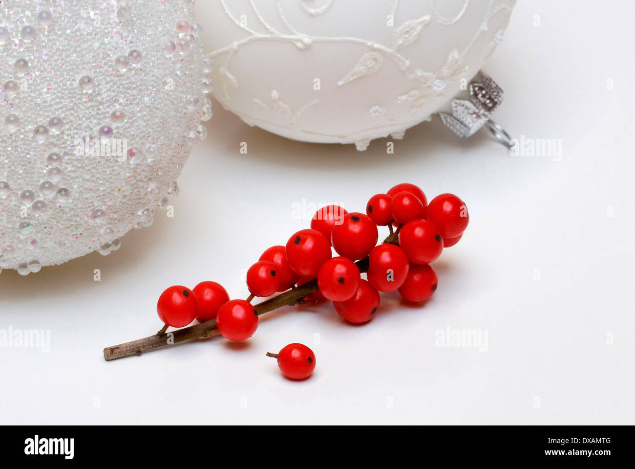 Houx, Ilex Banque D'Images