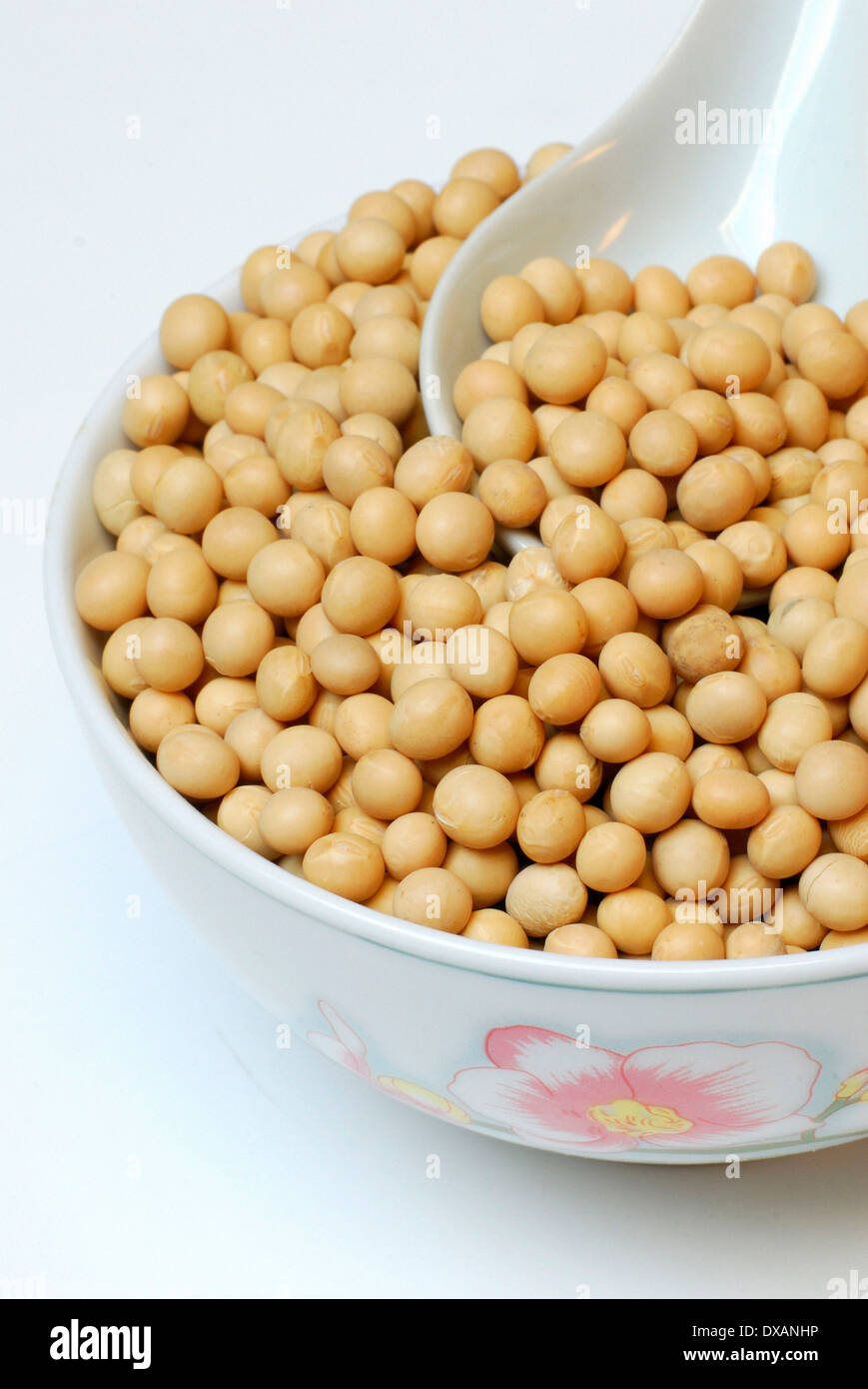 Soja Banque D'Images