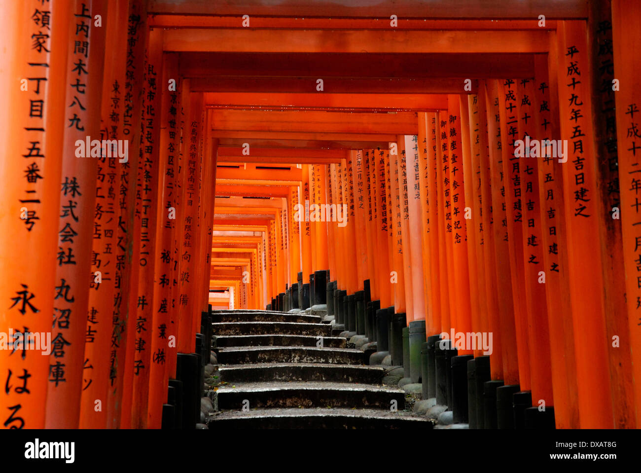 Torii Gates, Kyoto Banque D'Images