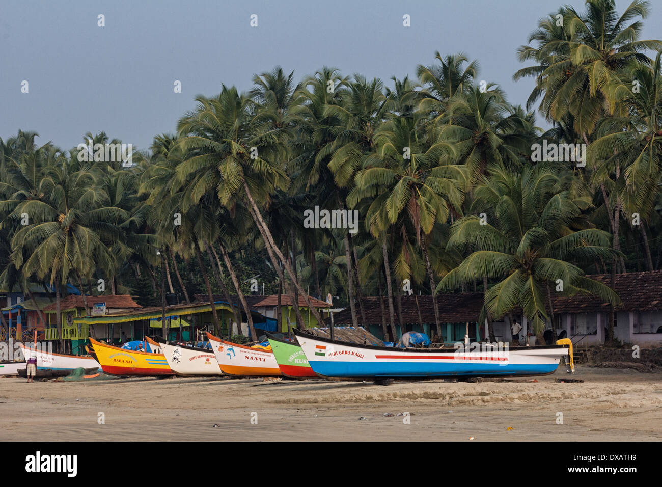Les bateaux de pêche avec des cocotiers à plage de Palolem à Goa, Inde Banque D'Images