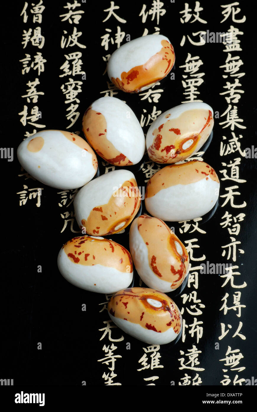 Soja Banque D'Images