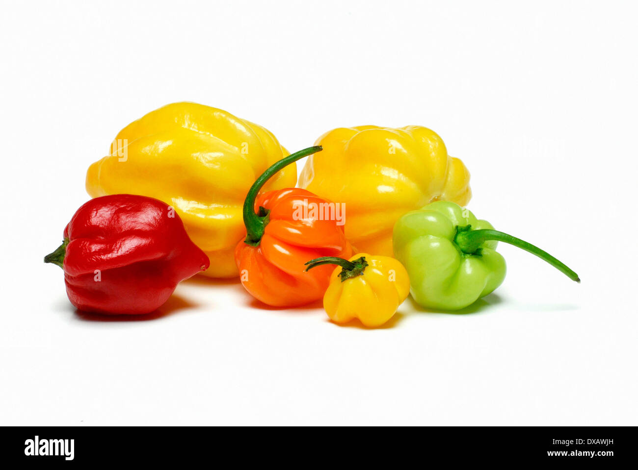 Habanero Banque D'Images