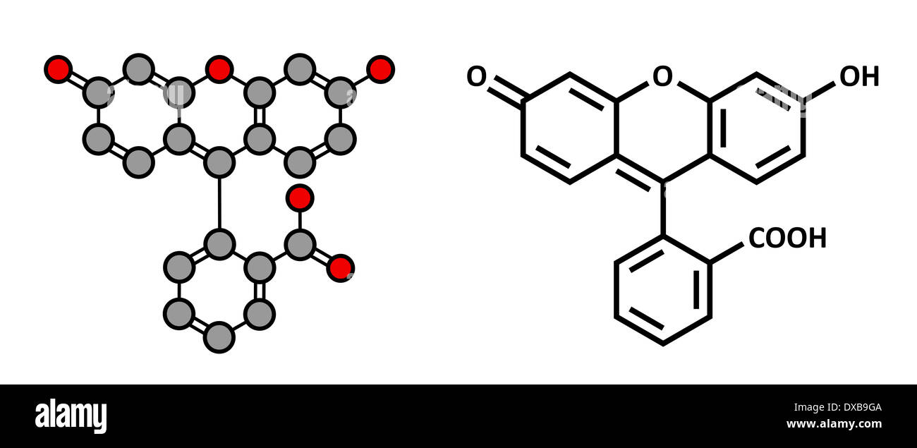 Molécule fluorescente à la fluorescéine. Rendu 2D stylisée et conventionnelle formule topologique. Banque D'Images