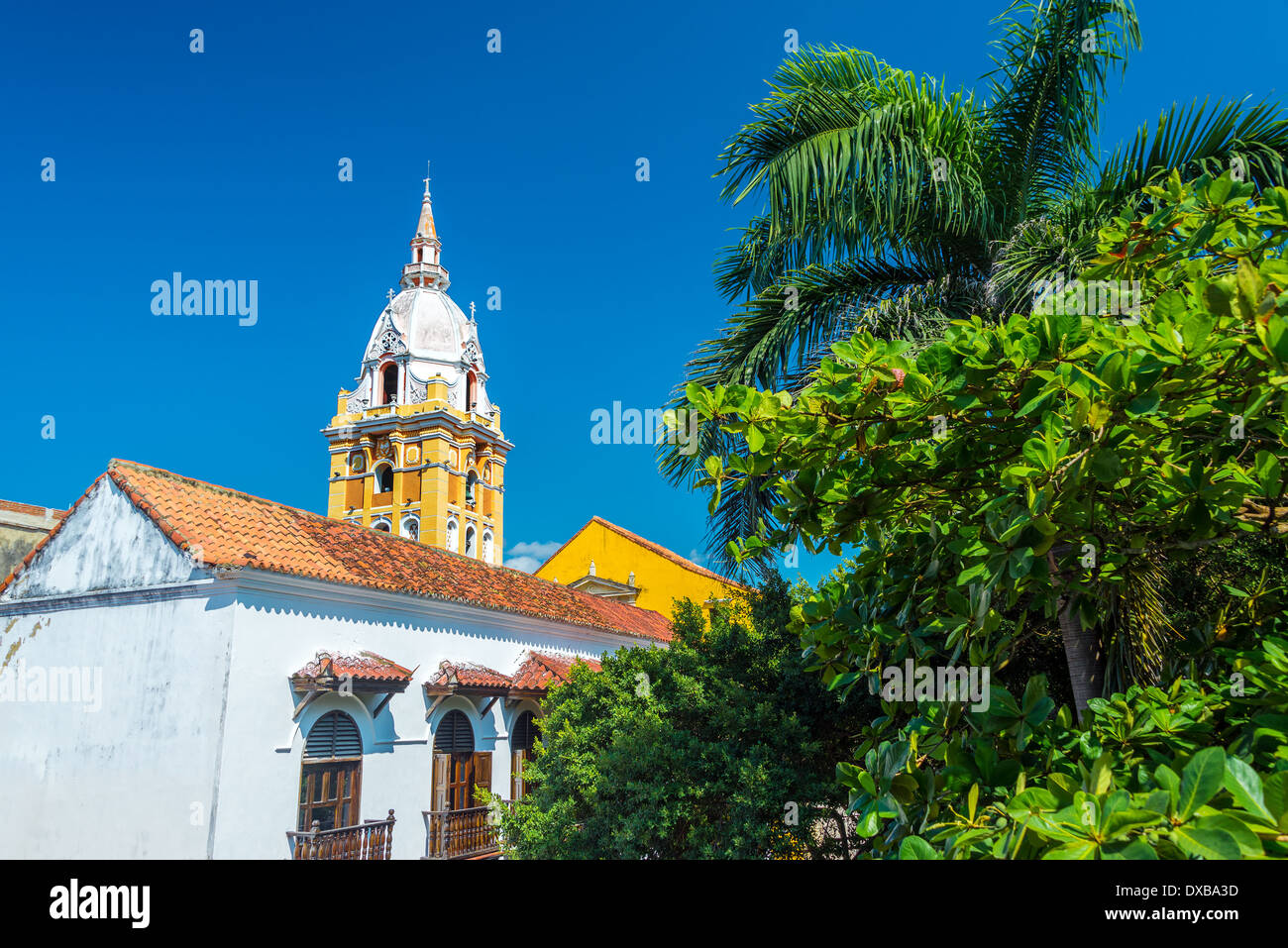 Vue de la cathédrale de Carthagène, Colombie à côté des arbres verts luxuriants Banque D'Images