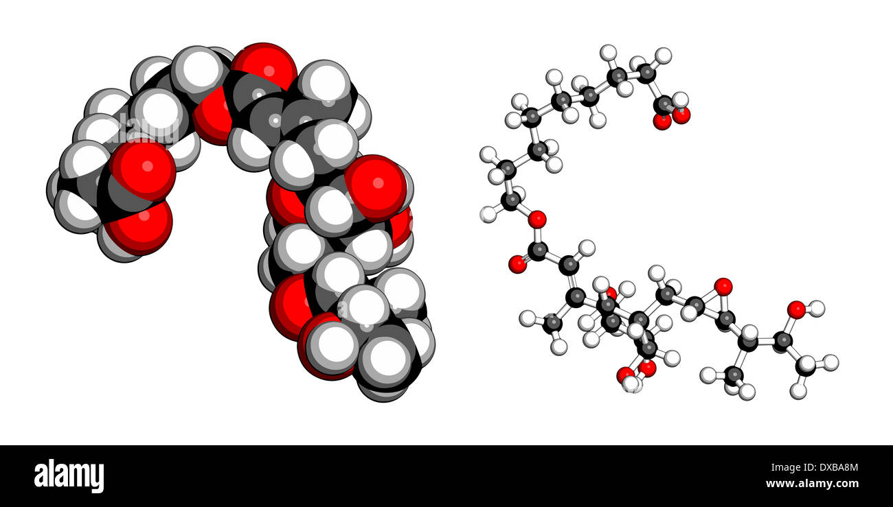 Mupirocine (pseudomonic) molécule d'antibiotiques. Utilisé en application topique contre les bactéries gram-positives. Banque D'Images